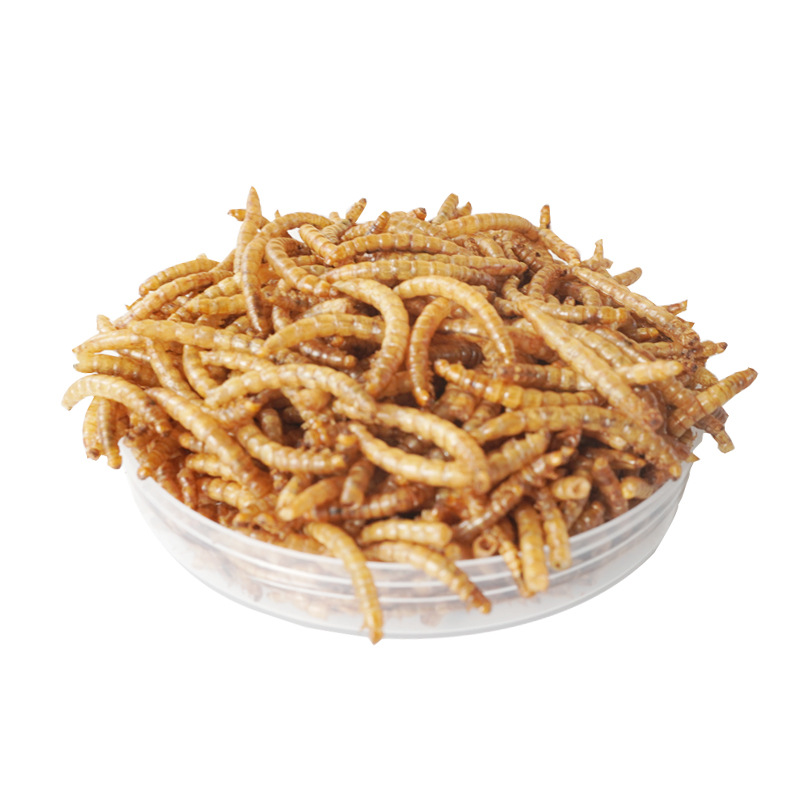 Food And Snacks High In Protein - 高タンパク質スナック ハムスター用フード 鳥類 ハリネズミ モルモット アロワナ＆カメ用スナック