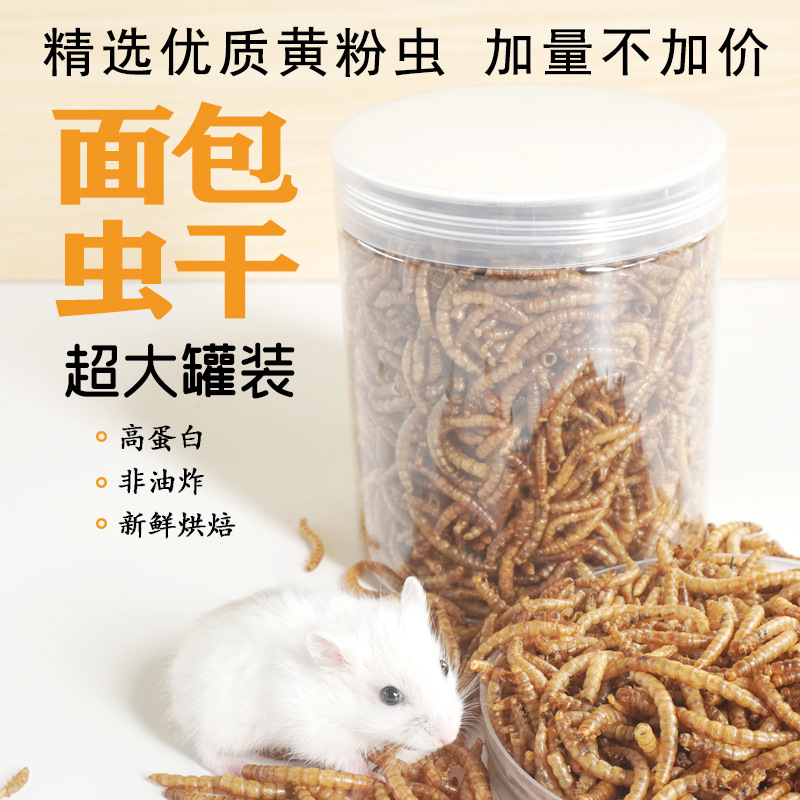高タンパク質スナック ハムスター用フード 鳥類 ハリネズミ  - Food And Snacks High In Protein のレビューと価格